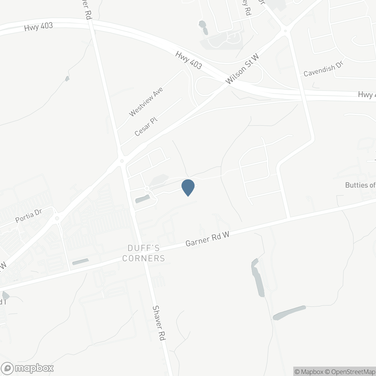 113 LIDDYCOAT LANE, Ancaster, Ontario L9G 0A7